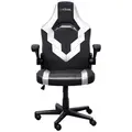 Кресло геймерское Trust GXT 703 Riye Gaming chair Black/White (25130) 