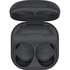 True Wireless Samsung Galaxy Buds2 Pro Black (SM-R510NZAASEK), Название расцветки: Black 