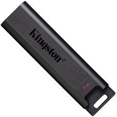 Флеш память USB Kingston DataTraveler Max 1TB USB 3.2 Gen 2 Type-C Black (DTMAX/1TB) 