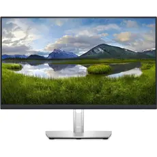 Монитор 23.8" Dell P2423DE (210-BDDW) 