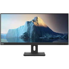 Монитор 29" Lenovo ThinkVision E29w-20 WLED 62CEGAT3EU 