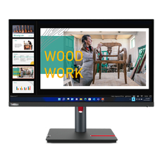 Монитор 23.8" Lenovo ThinkVision P24q-30 (63B4GAT6EU) 