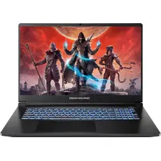 Ноутбук Dream Machines RT5060-17 V270KNN [RT5060-17UA24] Black 