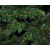 Искусственная елка Triumph Tree Forest Frosted 2.15 м Зеленая с инеем (0756770520346) - изображение 3 Искусственная елка Triumph Tree Forest Frosted 2.15 м Зеленая с инеем (0756770520346) - изображение 3