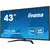 Монитор 42.5" iiyama ProLite X4373UHSU-B1 - изображение 3