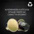 Набор кофе в капсулах L’OR Ristretto 10 упаковок x 10 шт (100 капсул) совместимы с Nespresso 100% Арабика (8711000891650) - изображение 5