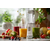 Блендер Philips Daily Collection HR2602/00 - изображение 10 Блендер Philips Daily Collection HR2602/00 - изображение 10