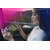 Портативная игровая приставка ASUS ROG Ally 2023 RC71L 512 GB (RC71L-ALLY.Z1X_512) - изображение 24 Портативная игровая приставка ASUS ROG Ally 2023 RC71L 512 GB (RC71L-ALLY.Z1X_512) - изображение 24