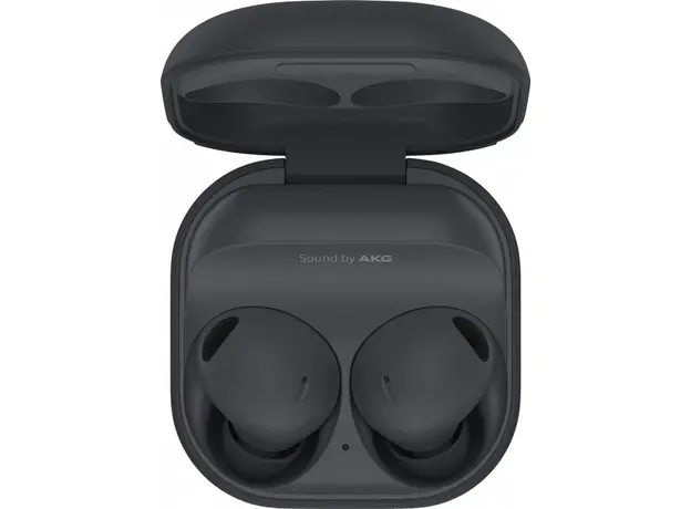 True Wireless Samsung Galaxy Buds2 Pro Black (SM-R510NZAASEK), Название расцветки: Black 