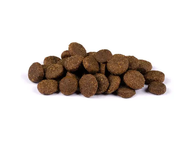 Сухой корм для взрослых собак Carnilove Duck & Pheasant 12 кг (8595602508860), Фасовка: 12 кг - изображение 4