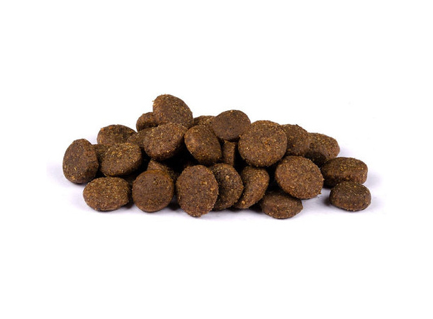 Сухой корм для взрослых собак Carnilove Salmon Adult 12 кг (8595602508907), Фасовка: 12 кг - изображение 4 Сухой корм для взрослых собак Carnilove Salmon Adult 12 кг (8595602508907), Фасовка: 12 кг - изображение 4