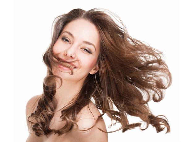 Фен Zelmer ZHD8360 - изображение 13 Фен Zelmer ZHD8360 - изображение 13