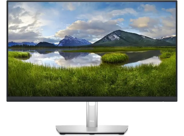 Монитор 23.8" Dell P2423DE (210-BDDW) 