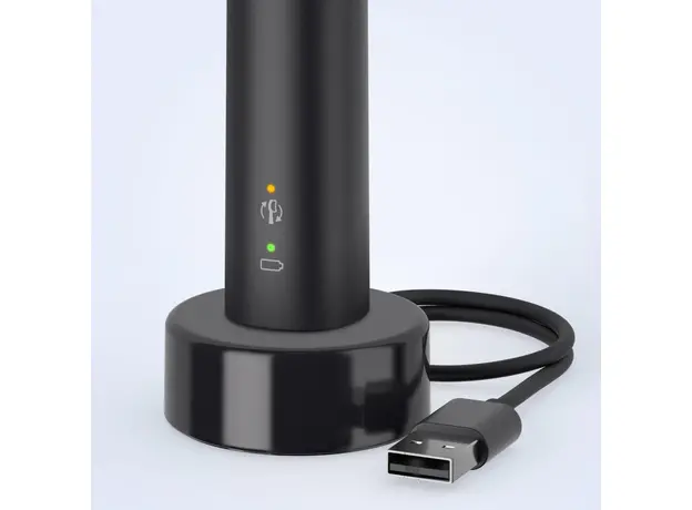 Электрическая зубная щетка PHILIPS Sonicare HX3673/14 Gemini 3100 - изображение 6