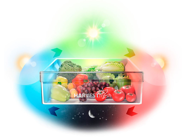 Двухкамерный холодильник BEKO RCNA406E35ZXB - изображение 9