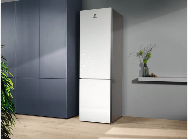 Двухкамерный холодильник Electrolux RNT7ME34G1 - изображение 3