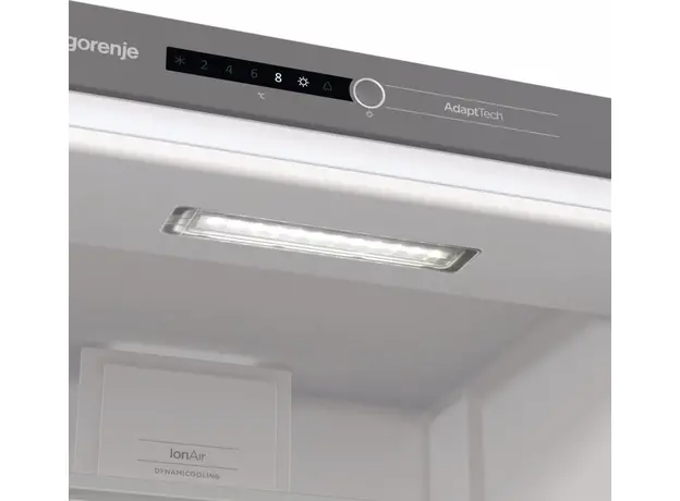 Встраиваемый холодильник Gorenje RI518EA1 - изображение 6
