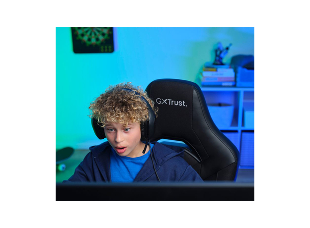 Кресло для геймеров Trust GXT703 RIYE Black (TR25128) - изображение 9