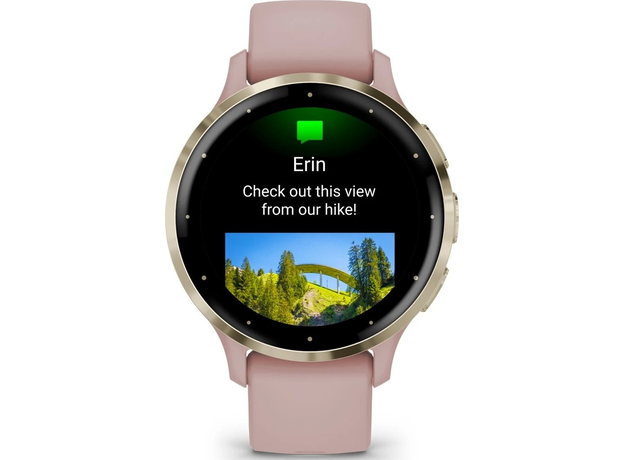 Смарт-часы Garmin Venu 3S Soft Gold Stainless Steel Bezel with Dust Rose Case and Silicone Band (010-02785-03) - изображение 6