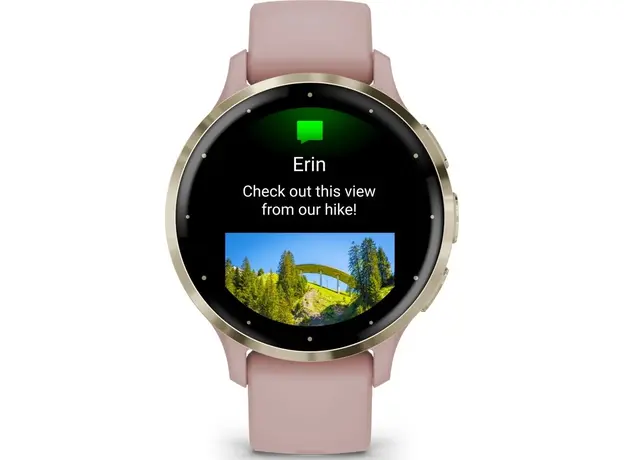 Смарт-часы Garmin Venu 3S Soft Gold Stainless Steel Bezel with Dust Rose Case and Silicone Band (010-02785-03) - изображение 6