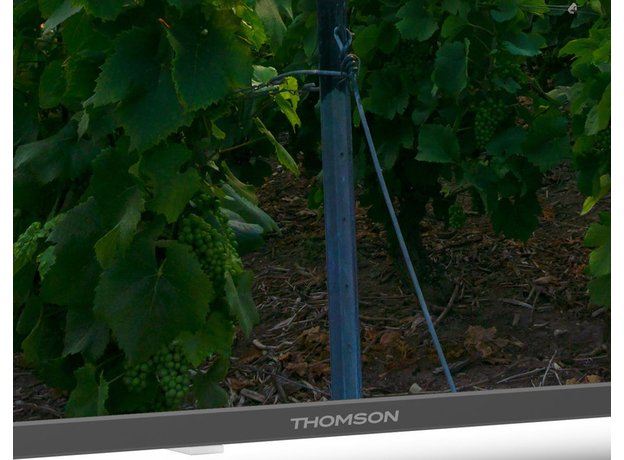 Телевизор Thomson QLED 55QA2S13 - изображение 4