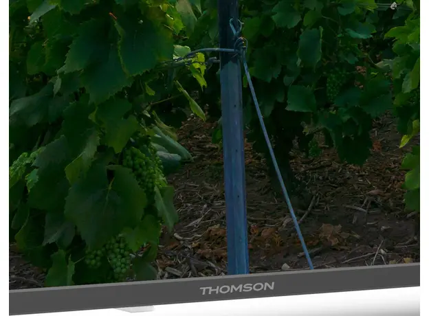 Телевизор Thomson QLED 55QA2S13 - изображение 4