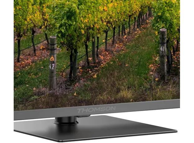 Телевизор Thomson QLED 65QG5C14 - изображение 6