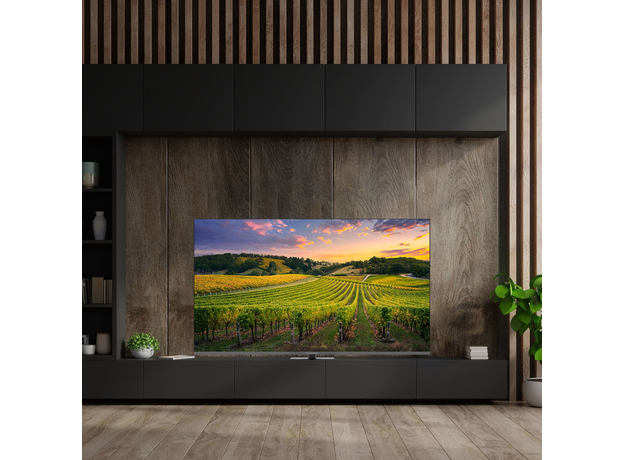 Телевизор Thomson QLED 65QG5C14 - изображение 10