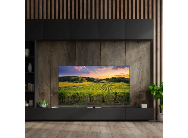 Телевизор Thomson QLED 65QG5C14 - изображение 10