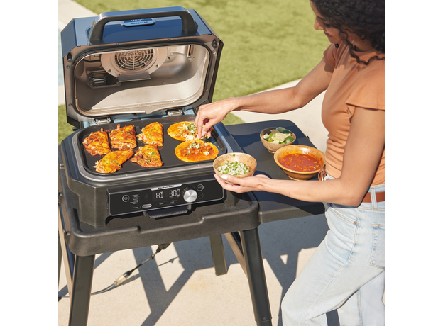 Гриль кухонный Ninja Woodfire Pro Connect XL Electric BBQ Grill & Smoker OG901 синий - изображение 23