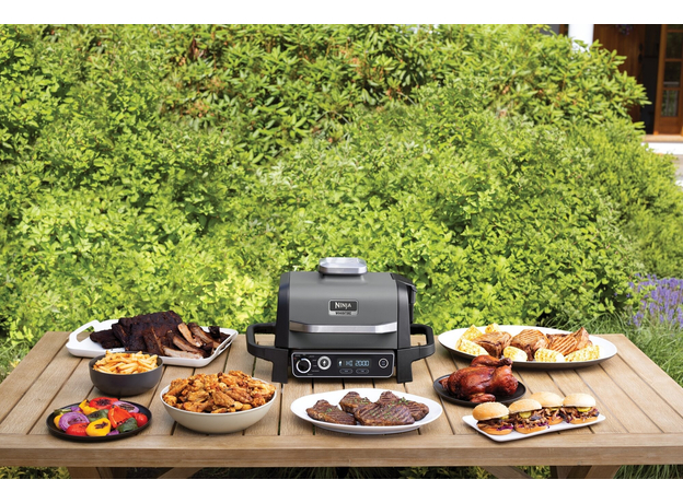 Гриль кухонный Ninja Woodfire OG701EU - изображение 19