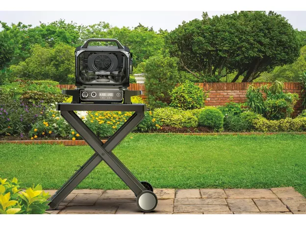 Гриль кухонный Ninja Woodfire OG701EU - изображение 21