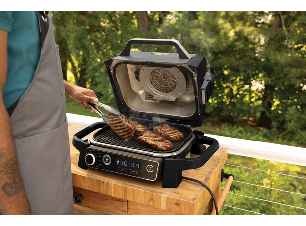 Гриль кухонный Ninja Woodfire OG701EU - изображение 29