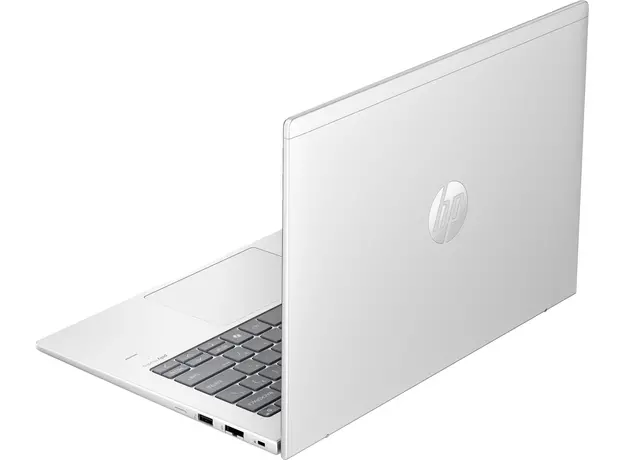 Ноутбук HP ProBook 445 G11 (8Z9P8AV_V2) 14" Pike Silver - изображение 4