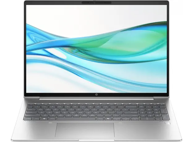 Ноутбук HP ProBook 460 G11 (AD1X2ET) Pike Silver 
