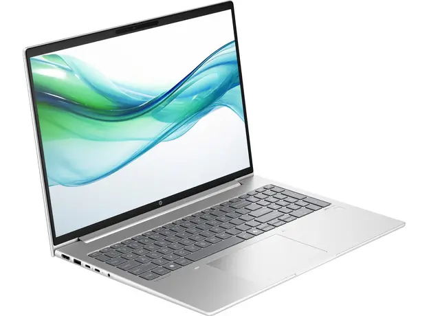 Ноутбук HP ProBook 460 G11 (A38DPET) Pike Silver - изображение 2