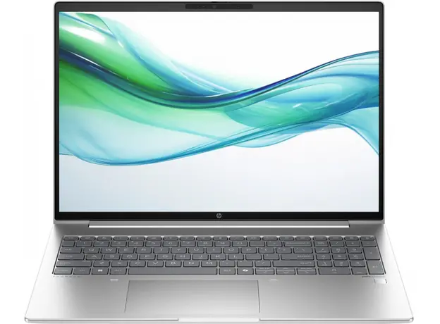 Ноутбук HP ProBook 465 G11 (AD1J1ET) Pike Silver 
